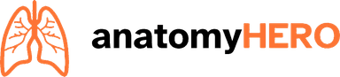 anatomyHERO Logo