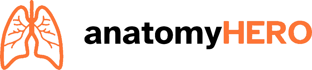 Anatomy Hero Logo